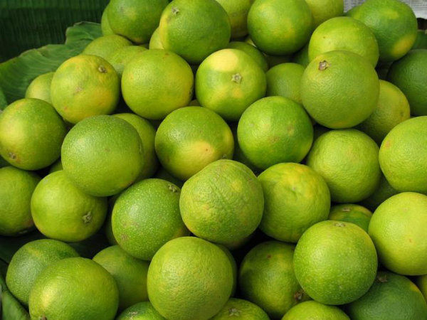 എല്ലിന് ആരോഗ്യവും കരുത്തും