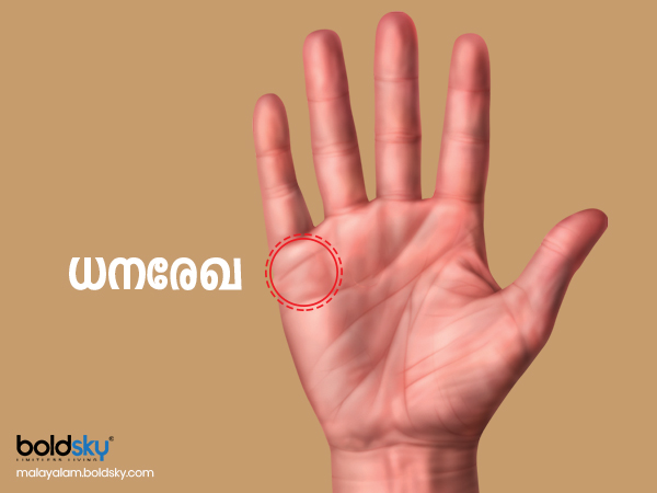 എന്താണ് ധനരേഖ?