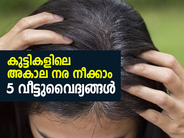 കുട്ടികളില് നരച്ച മുടിനീക്കാനുള്ള വീട്ടുവൈദ്യങ്ങള്