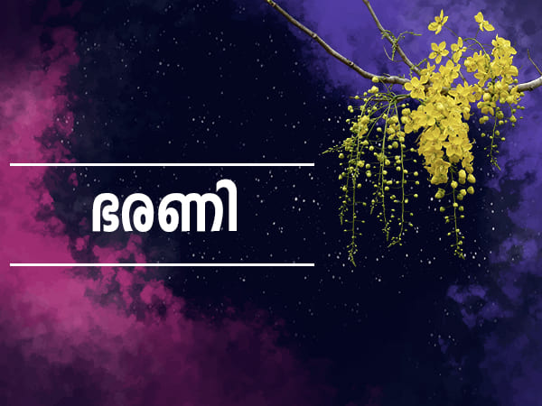 ഭരണി