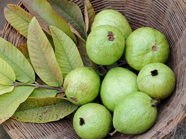 മഗ്നീഷ്യം നിറഞ്ഞിരിക്കുന്നു