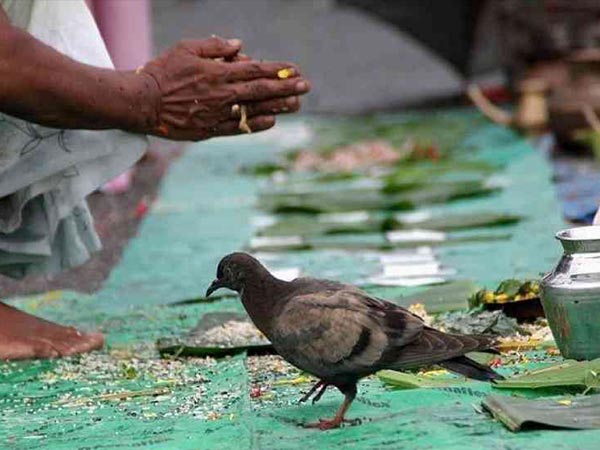 നീരാഞ്ജനം ചെയ്യാം