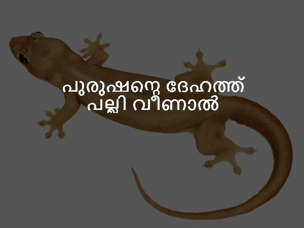 പുരുഷന്മാരുടെ ദേഹത്ത് പല്ലി വീണാല് അര്ത്ഥമാക്കുന്നത്