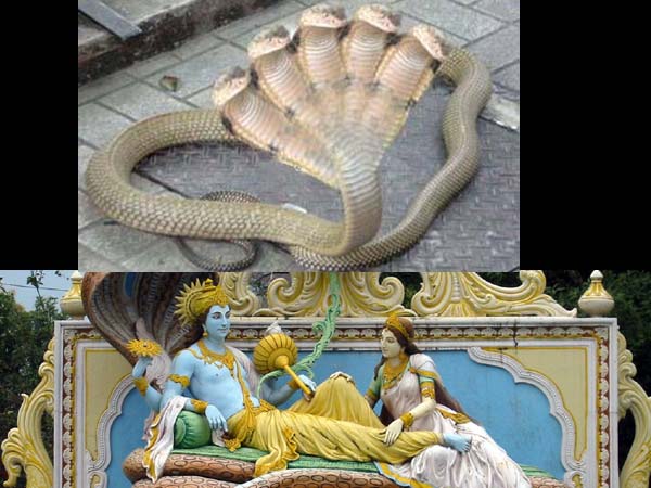 സന്താനസൗഭാഗ്യത്തിന്