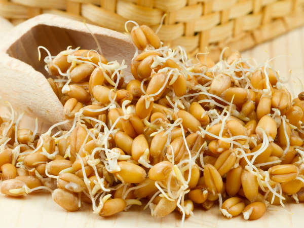 വിറ്റാമിനുകളും ധാതുക്കളും