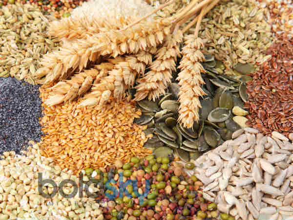 കാര്ബോഹൈഡ്രേറ്റ്സ്