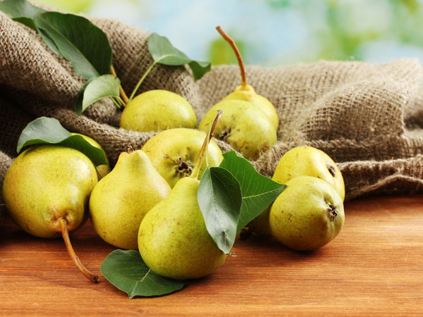 കുടലിന്റെ ആരോഗ്യം