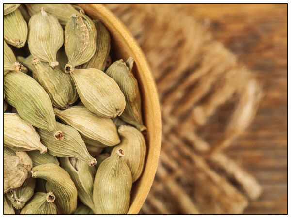 ദീര്ഘായുസ്സിന്റെ രഹസ്യം
