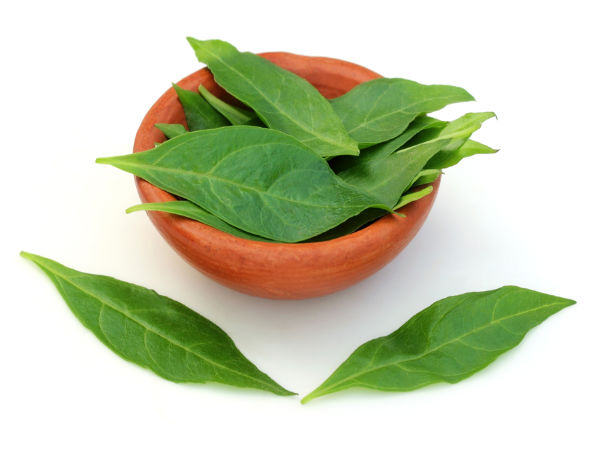 മുട്ട, മൈലാഞ്ചി
