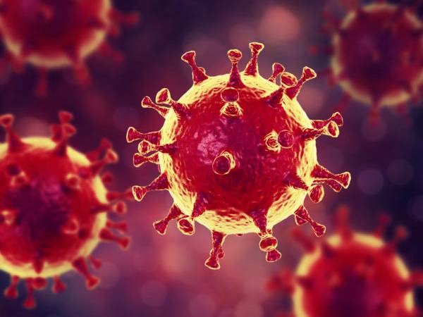 Flu Vs COVID-19 : സാധാരണ പനിയും കൊവിഡും വ്യത്യാസം ഇതാണ് 2 വ്യത്യാസങ്ങള്