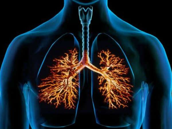 lungs health during coronavirus : കോവിഡില് നിന്ന് ശ്വാസകോശം കാക്കാം; ഈ ശീലങ്ങള് 2 ശ്വാസകോശം ആരോഗ്യത്തോടെ നിലനിര്ത്താന്