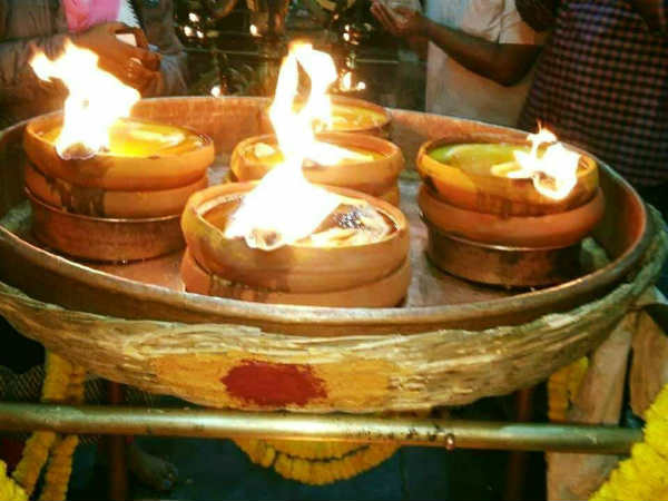 നെല്ലി മരത്തെ ആരാധിക്കുന്നത്