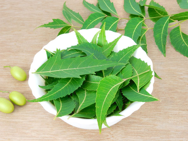 തയാറാക്കുന്ന വിധം