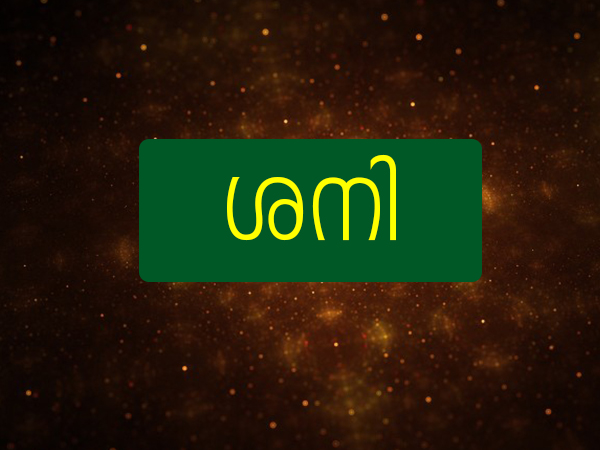 ശനി