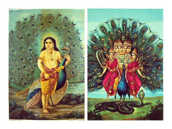 ചൊവ്വാ ദശാപഹാരം