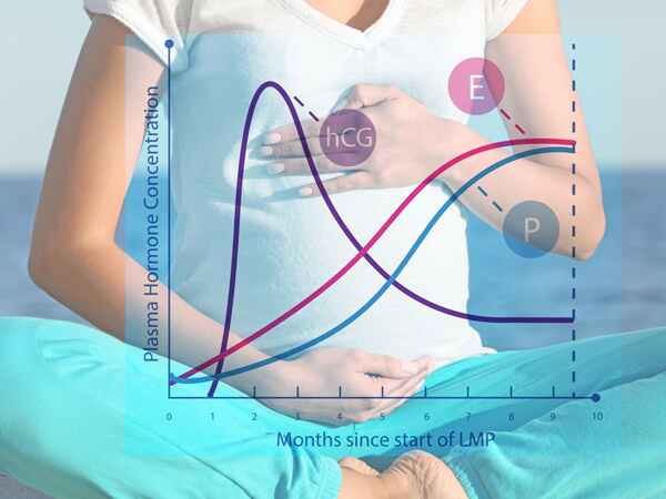 ഗര്ഭധാരണത്തെ എങ്ങനെ ബാധിക്കുന്നു?