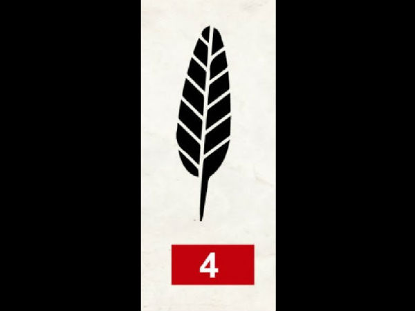 തൂവല് 4