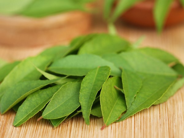 കറിവേപ്പില എങ്ങനെ ഉപയോഗിക്കാം