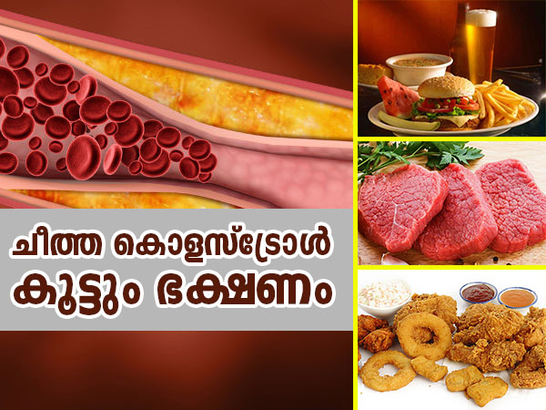 Foods That Increase Bad Cholesterol In The Body