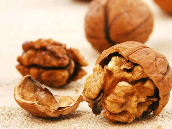ആരോഗ്യകരമായ കുടല്