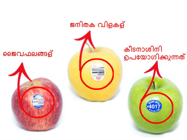 What Do Those Fruit Stickers Tell Us About The Fruits