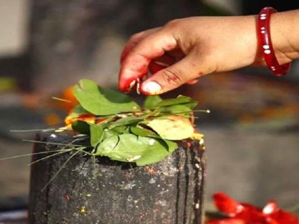 മോശം കൂവള ഇലകള്