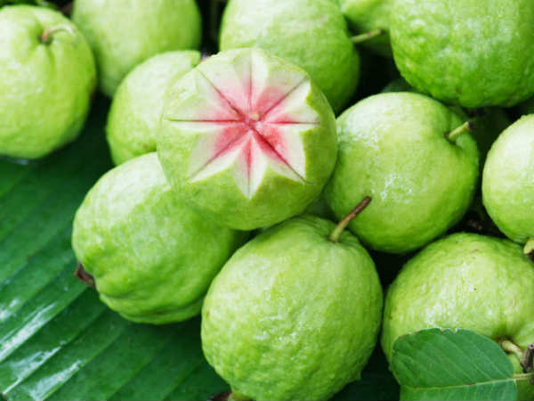 ദഹനത്തെ ബാധിക്കുന്നു