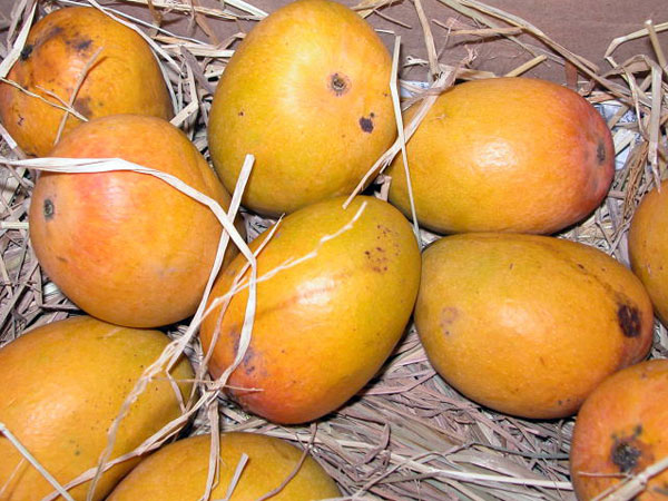 ശരീരഭാരം വര്ദ്ധിച്ചേക്കാം