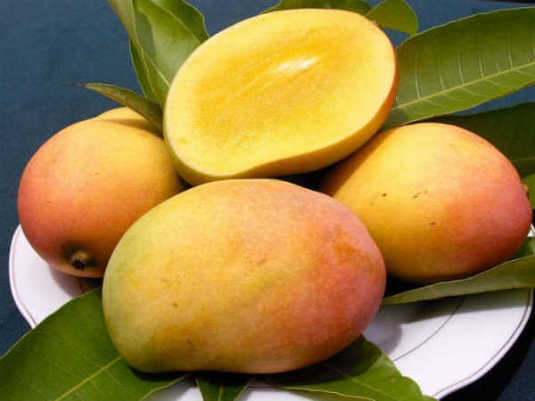 മാമ്പഴം ഓട്സ് ഫേസ് മാസ്ക്