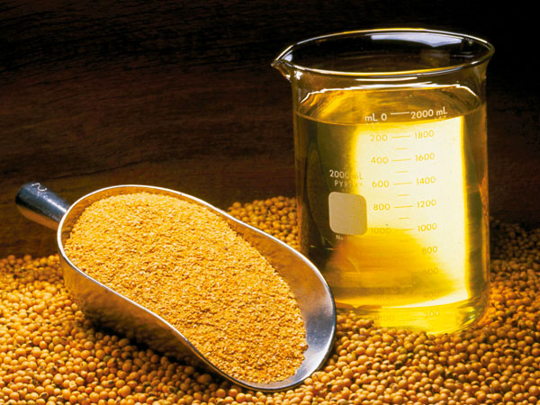 സോയാബീന് എണ്ണ