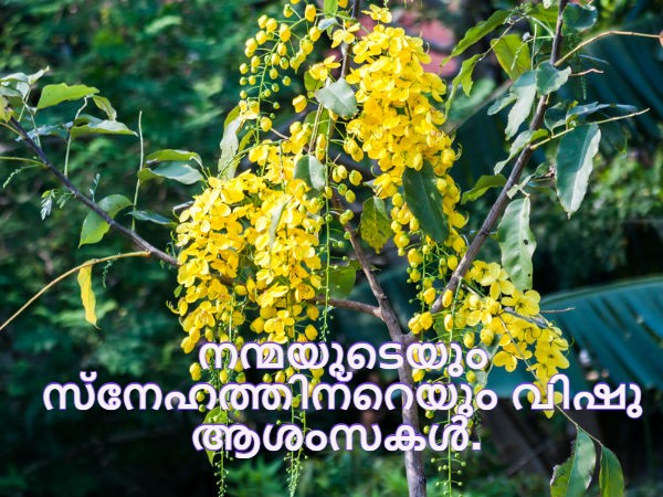 വിഷു ആശംസകള്
