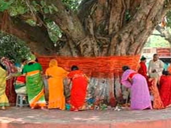ആല്മര പൂജ
