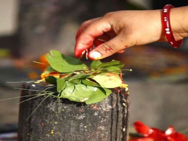 കൂവള ഇലയുടെ പുറംവശം