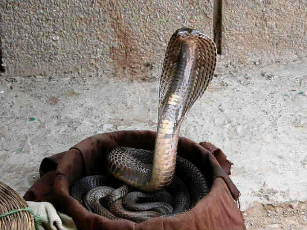 ഈ മന്ത്രം ചൊല്ലിയാല്