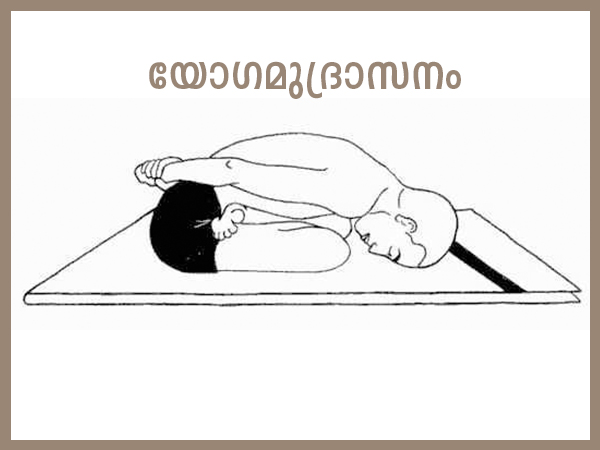 വാത, പിത്ത, കഫ രോഗങ്ങള്ക്കുള്ള യോഗാസനങ്ങള്