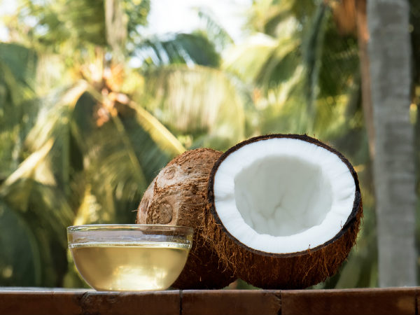 ലോക നാളികേര ദിനം ചരിത്രം