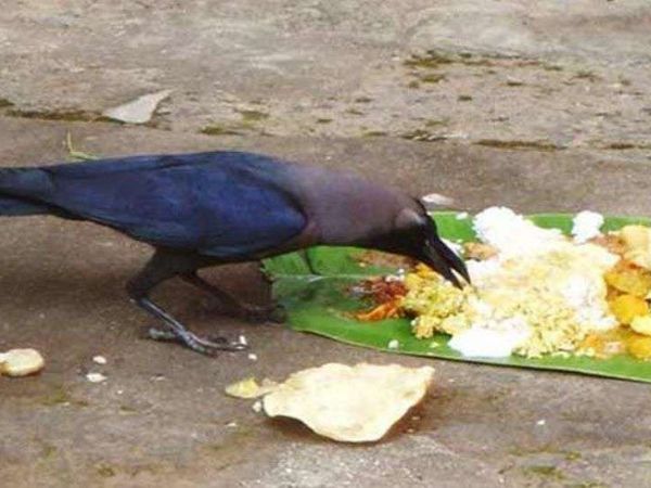 പിതൃപക്ഷത്തിന്റെ വിശ്വാസം