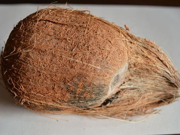 മനുഷ്യന്റെ ത്യാഗം