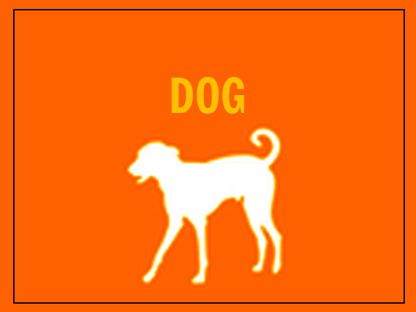 നായ (2030, 2018, 2006, 1994, 1982, 1970, 1958, 1946, 1934)
