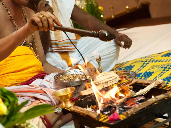 ഒരു പുതിയ വീട്ടില് പല്ലിയെ കാണുന്നത്