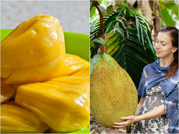 Health Benefits Of Eating Jackfruit During Pregnancy In Malayalam
