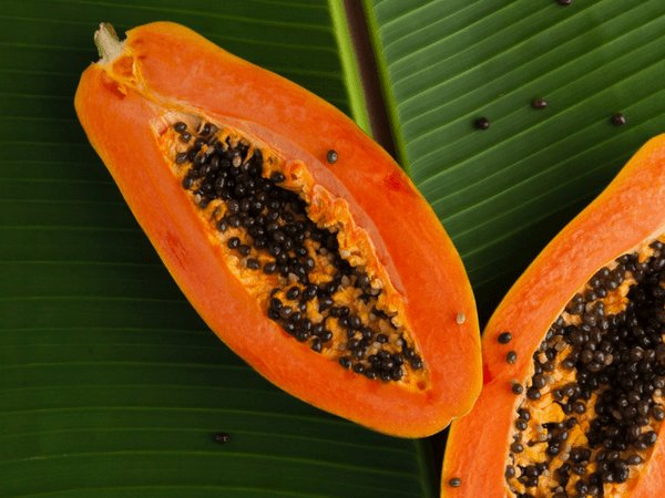 പപ്പായ