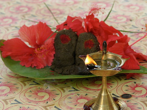വിഷ ദോഷം