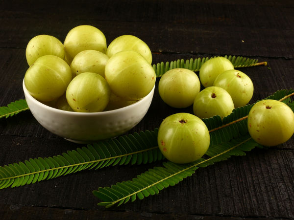 നെല്ലിക്ക തൈ നടുക