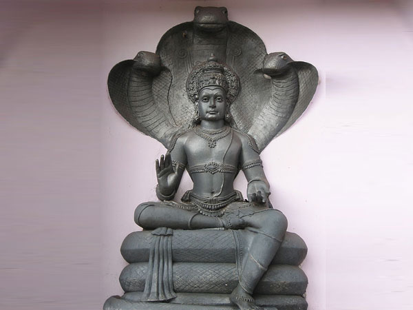 ആയില്യം നക്ഷത്രക്കാര് സവിശേഷതകള്