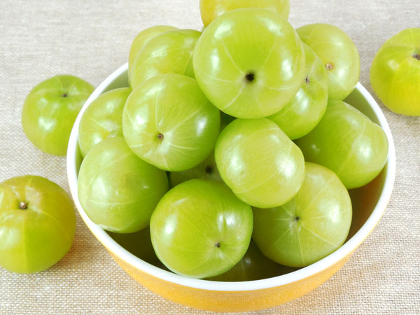 നെല്ലിക്ക