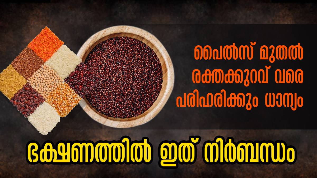 മൂലക്കുരുവും വേദനയും വയറുവേദനയും എല്ലാമകറ്റും കുഞ്ഞുധാന്യം Reasons