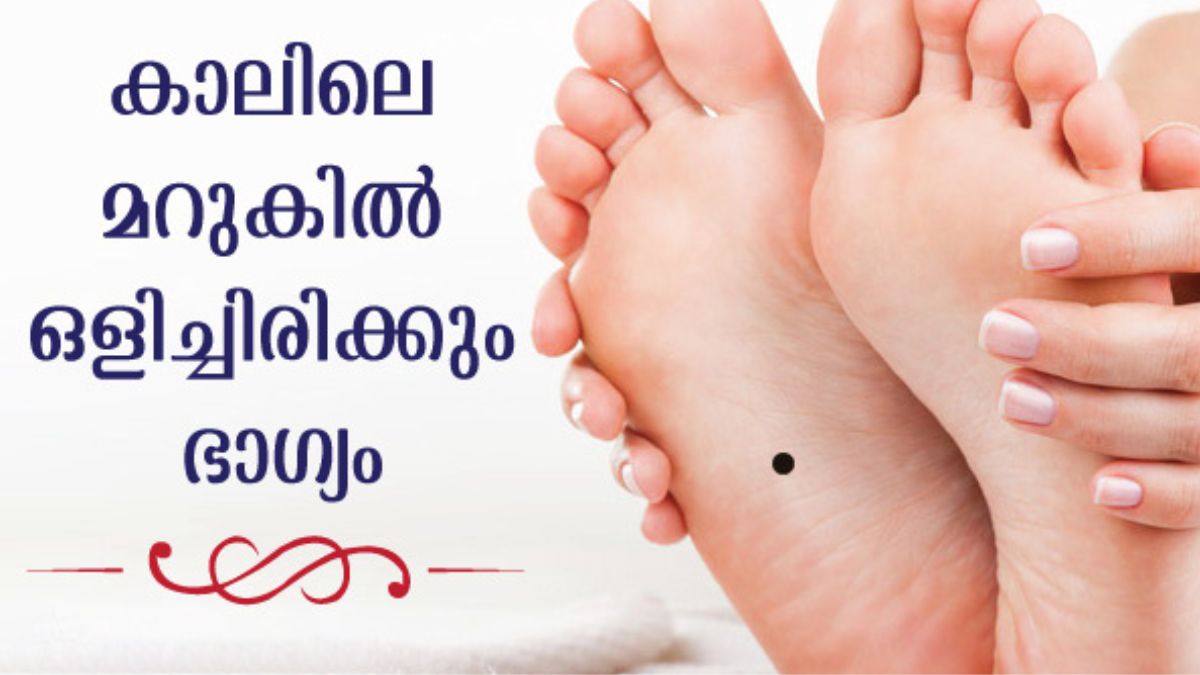 സാമുദ്രിക ശാസ്ത്രപ്രകാരം കാലില്‍ മറുകെങ്കില്‍ ഫലം ഇപ്രകാരം | Meaning Of