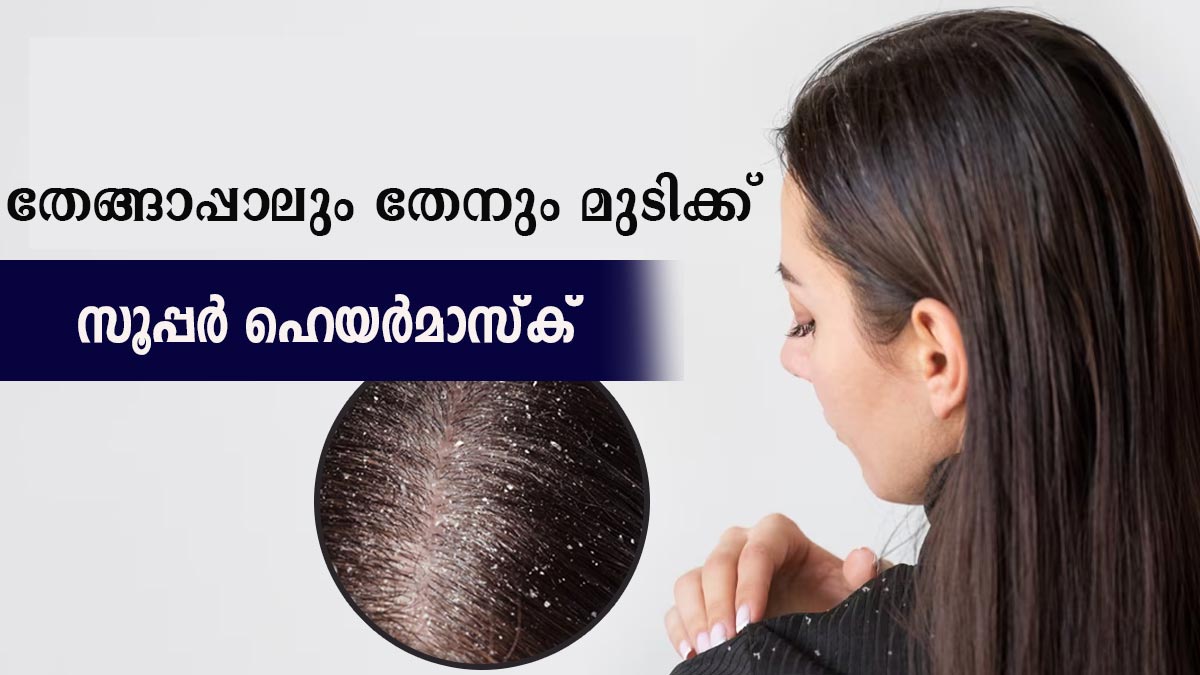 മുടിയുടെ ഓരോ ഇഴയും വളരും തേങ്ങാപ്പാല്‍ മാജിക് Coconut Milk And Honey