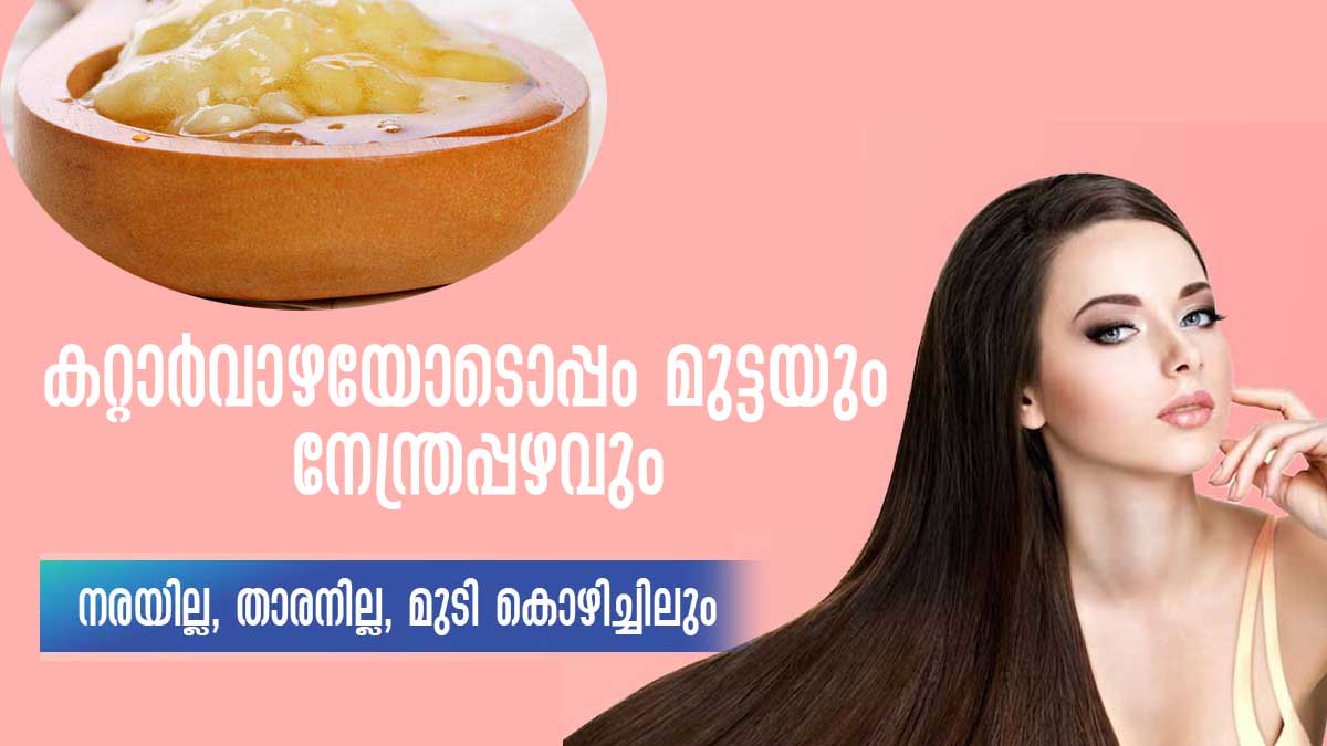 സമൃദ്ധമായ ഉളള് വരാനും താരനകറ്റാനും കറ്റാര്‍വാഴ ഇപ്രകാരം ഉപയോഗിക്കാം